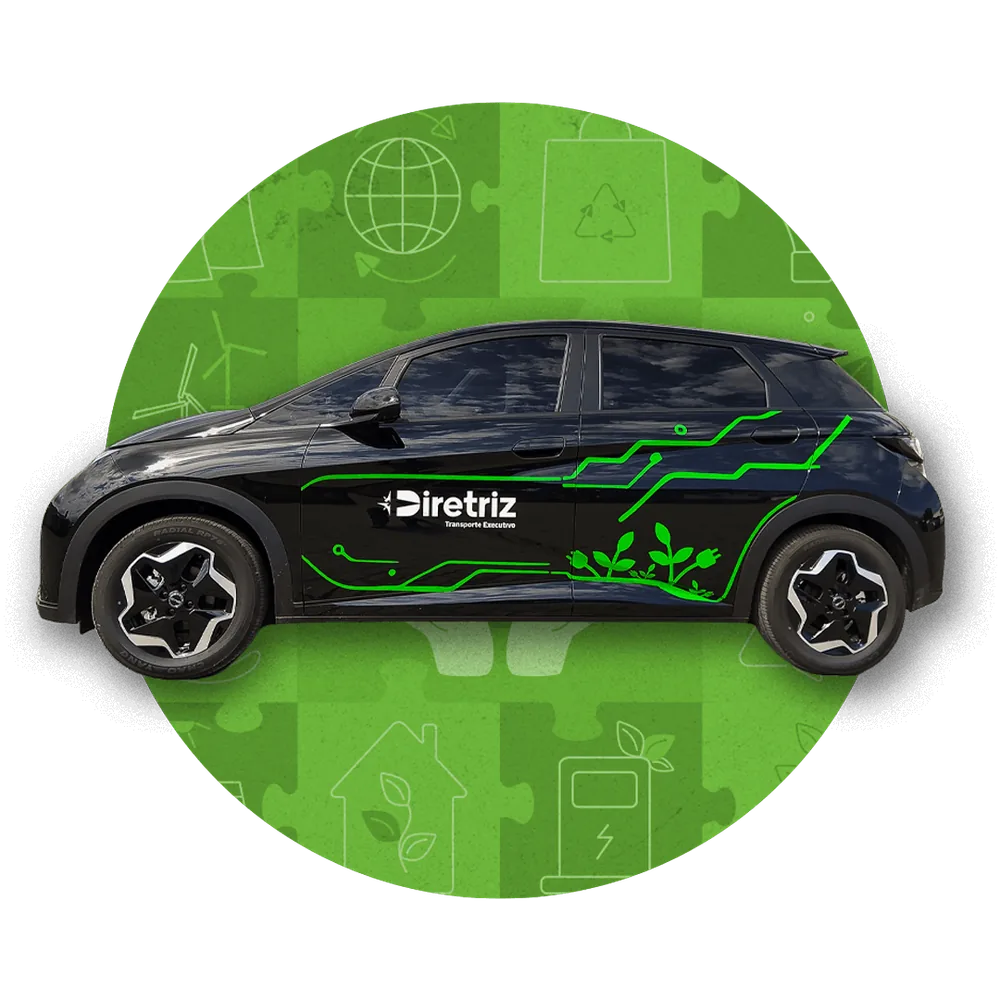 Montagem: BYD Dolphin elétrico
