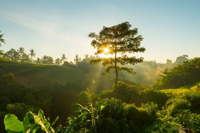 Preservação ambiental e natureza